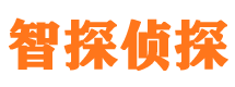 安阳外遇出轨调查取证